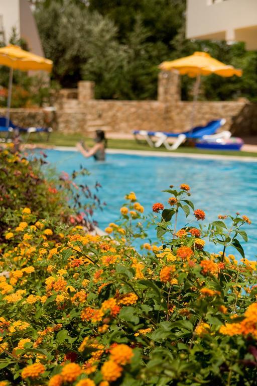 Blue Dream Luxury Villas Pefki エクステリア 写真