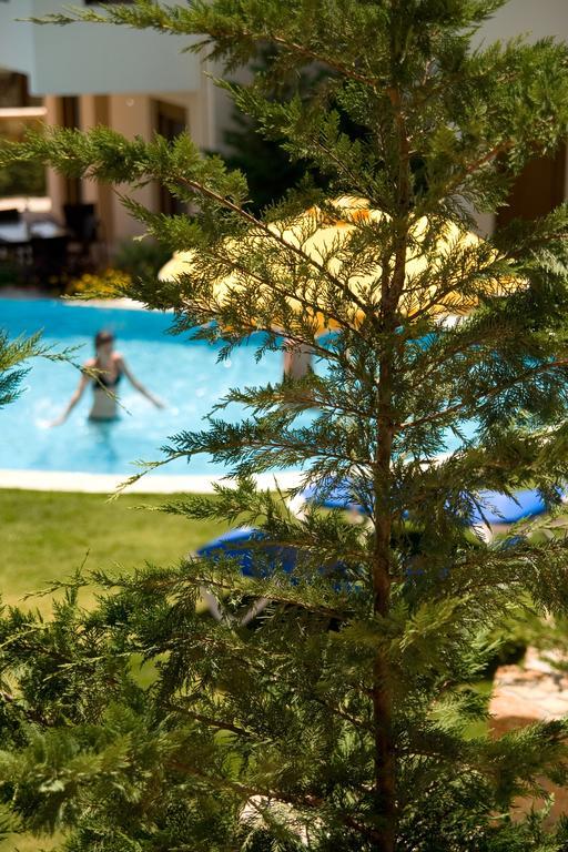 Blue Dream Luxury Villas Pefki エクステリア 写真
